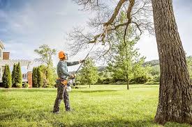 Best Tree Planting Services  in Colchester, IL